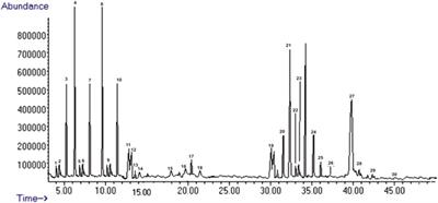 Aqueous Tuber Extracts of Tylosema fassoglense (Kotschy ex Schweinf.) Torre and Hillc. (Fabaceae). Possess Significant In-Vivo Antidiarrheal Activity and Ex-Vivo <mark class="highlighted">Spasmolytic</mark> Effect Possibly Mediated by Modulation of Nitrous Oxide System, Voltage-Gated Calcium Channels, and Muscarinic Receptors